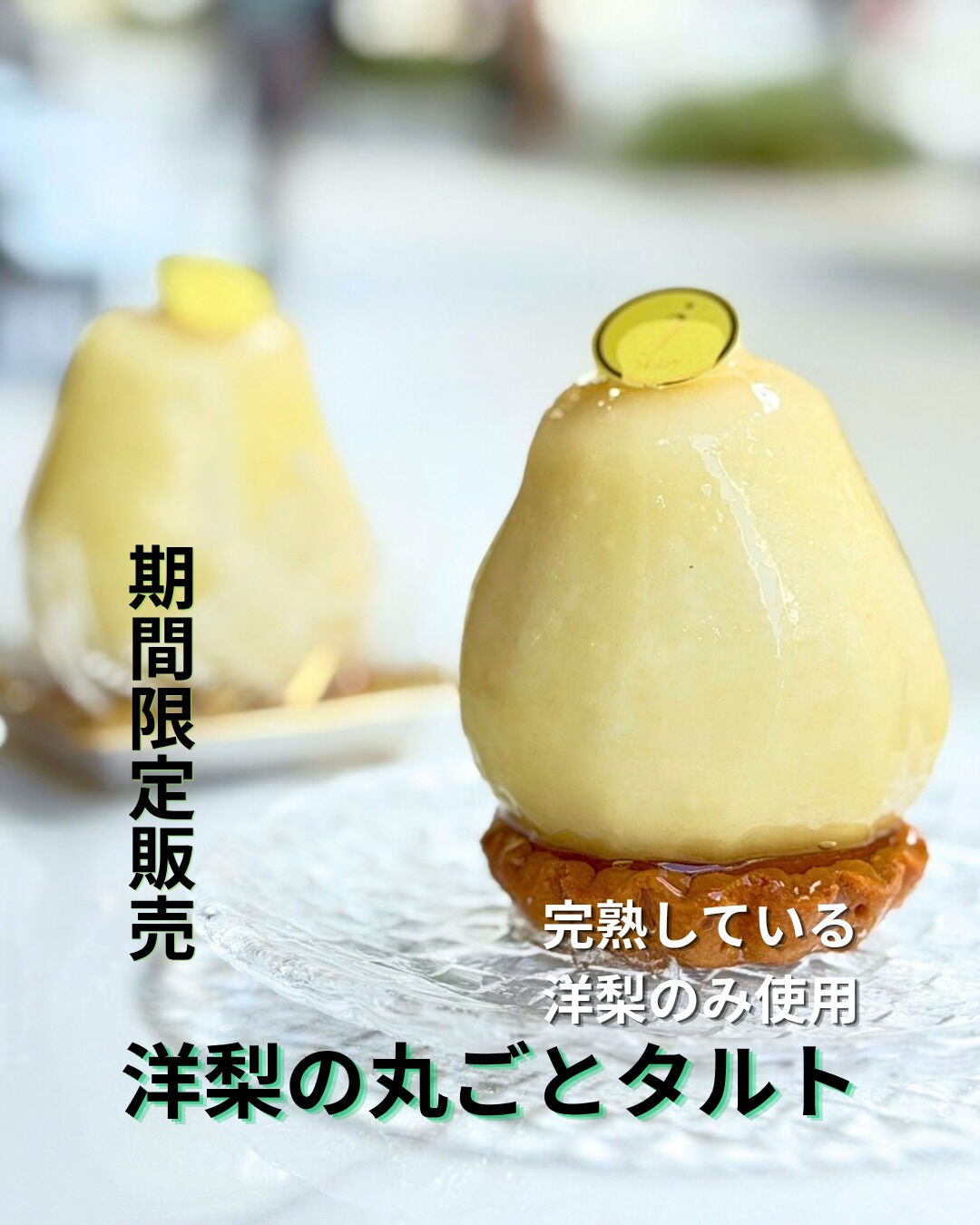 定番の『丸ごとシリーズ』の紹介