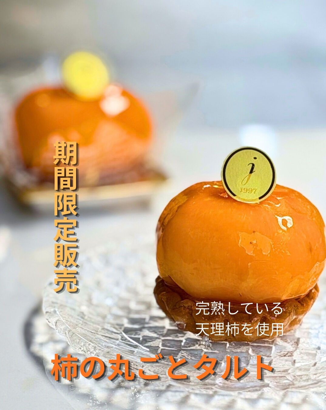 定番の『丸ごとシリーズ』の紹介
